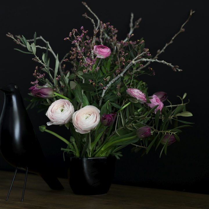 Ranunculus and foliage in a black vase against a dark ground