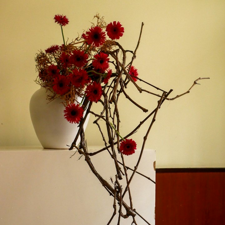 Red blooms on bare winding branches in a white vase