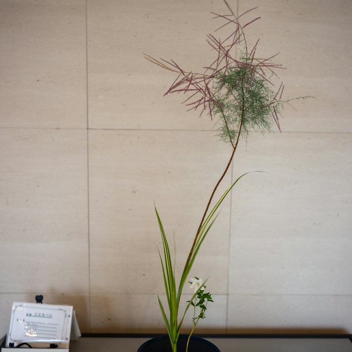 Tall, airy single-stem arrangement against limestone